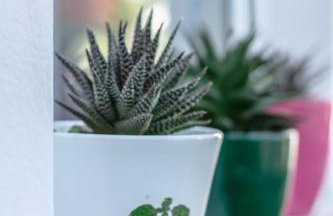 Apartments Lea Poreč - Foto 4