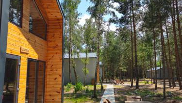 Domki SHERWOOD - Foto 2, Garden, Garden view