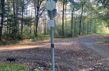 Wunderschöne Ferienwohnung auf dem Bauernhof - Foto 7