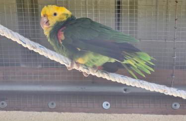 Belle Quercynoise piscine jacuzzi partagés - Foto 57