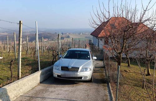 Villa Lotus - Foto 67