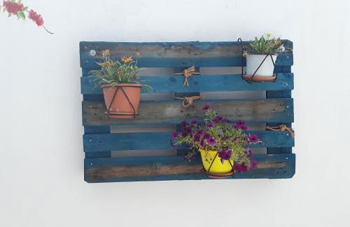 Studios Iris - Foto 45