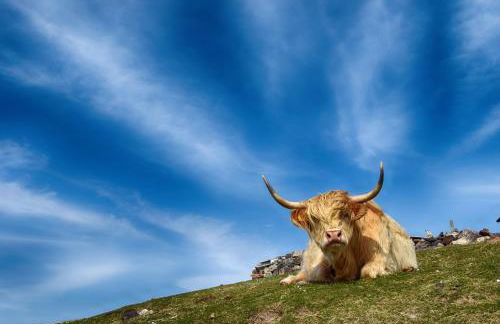 Little Loch View - Foto 27