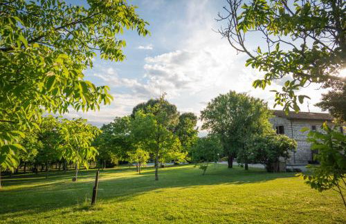 Agriturismo Il Giardino dei Ciliegi - Foto 6