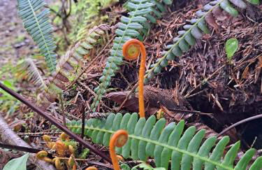 Blissful Solitude Cottage - Foto 54