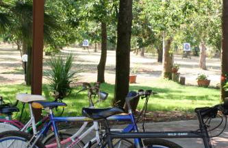 Agriturismo La Giannottola - Foto 31