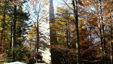 Schönblick 36 - Photo 4