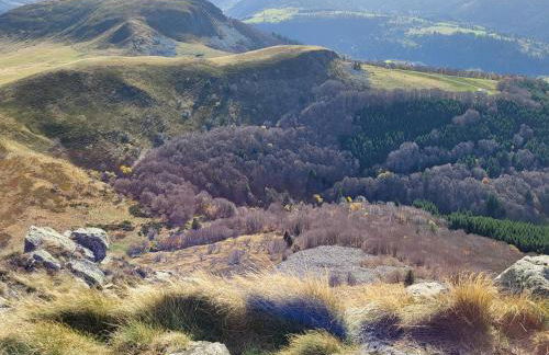 Appartement Mont Dore tout confort, 2 pièces, 4 personnes - Foto 42