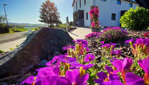FeWo Zur Wasserburg mit Seeblick, großem Garten & Spielplatz an der Talsperre Pirk - Foto 3, Garden