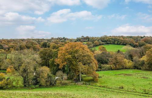 Walnut Walk - Foto 11