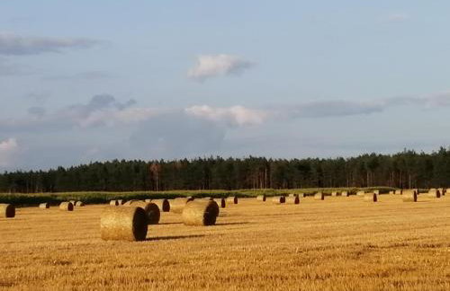 Przystanek Trześcianka - Foto 51