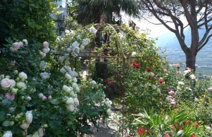 Appartement Trafoier - Foto 49