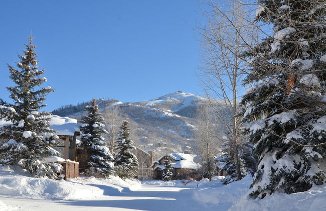 Cascades at Steamboat - Foto 27