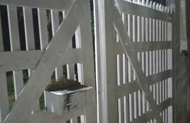 Chalé Refúgio dos Aventureiros Mata Atlântica - Foto 16