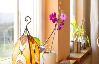 Das Blaue Haus Am Rothaarsteig - Photo 24