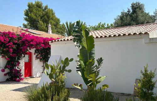 Quinta Castor - Foto 57