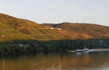 Apartment an der Mosel 1 - Foto 45