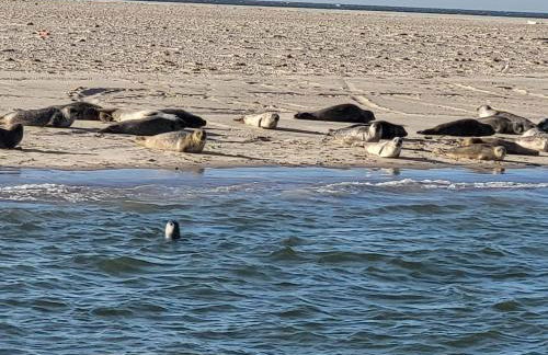 Ferienhaus Bonishof - Foto 57