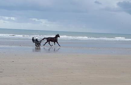 Entre Ciel et Marais - Foto 78