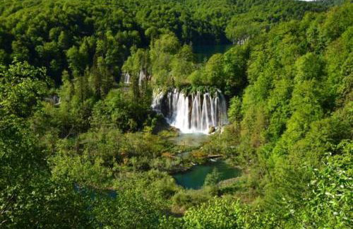 Guesthouse Ana&Ljubo - Foto 3