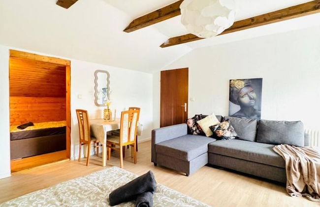 7 private Rooms in a spacious Villa - Foto 68