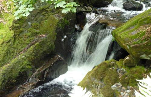 Casa Corral - Casas de Aldea - Foto 50