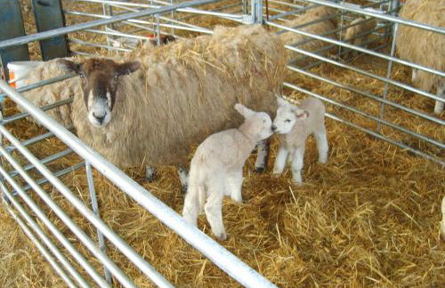 Church Farm - Foto 20