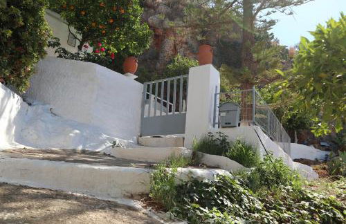 Arokaria Studio - Foto 29