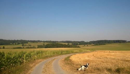 Schönes Terrassen-Appartement - Foto 2