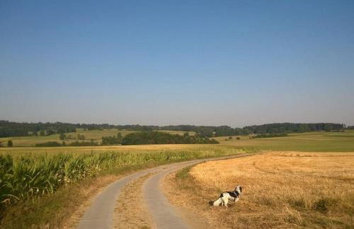 Schönes Terrassen-Appartement - Foto 2