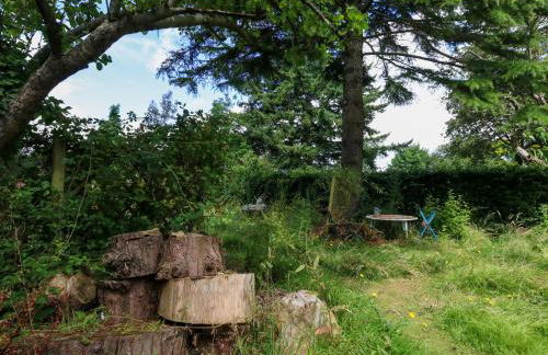 Little Timbers - Foto 44