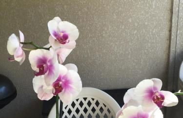 Appt T2 Standing avec Piscine et Terrasse - Foto 23