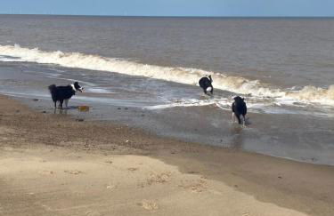 Chez Little Black Cat - Foto 22