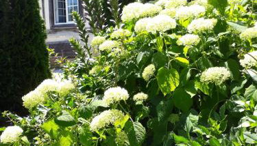 Gîte 'les matins calmes ' - Foto 5