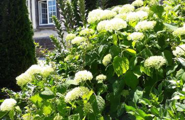 Gîte 'les matins calmes ' - Foto 5