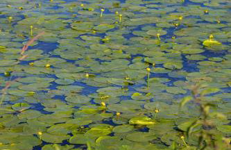 Modern Apartment by the Lake with Parking & Sauna in Zegrze by Noclegi Renters - Foto 35