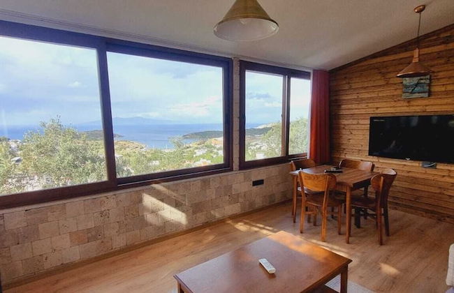 Sole Foca ( Ages 12+ ) - Foto 36