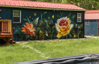 Mural Art Cabin With Pond And Hot Tub - Foto 4