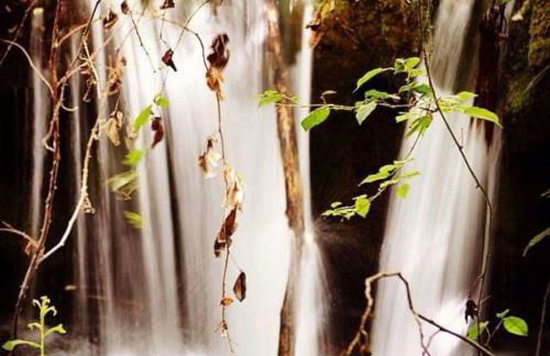 Casa La Rosa P.N. Sierra de Grazalema - Foto 23