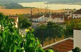 Casa das Laranjeiras - Foto 23