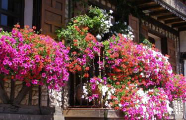 Casa del tablao - Foto 22