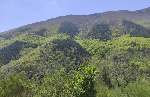 El rincón de Soto - Foto 32