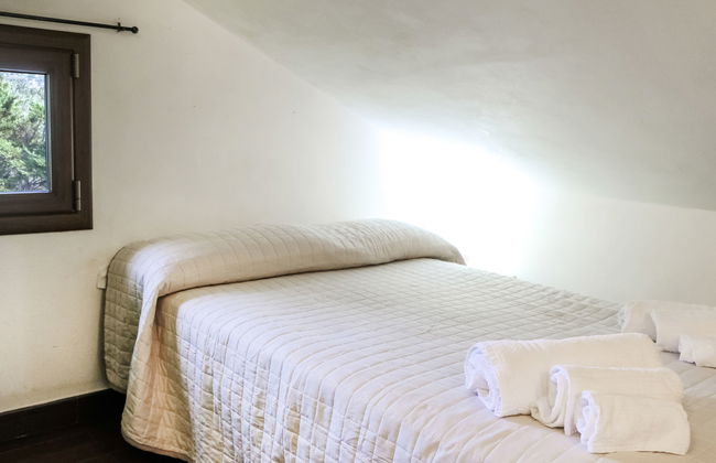 Carta Fashion - Foto 15