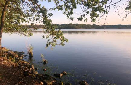 Bücherträume - Foto 14