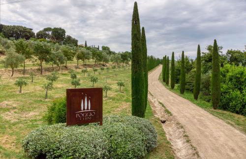 Poggio 3 Lune - Foto 5