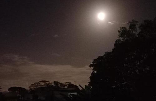 Ilha do Village - Foto 60