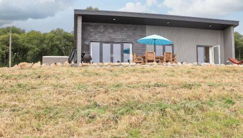 Pine Marten - Photo 3