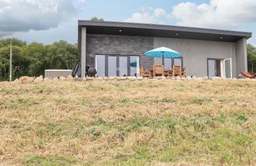 Pine Marten - Foto 3