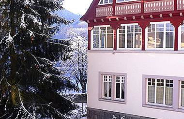 Villa Du Sendenbach - Foto 3