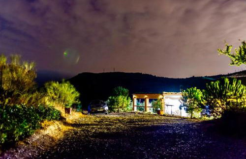 Secano de Paco - Foto 50